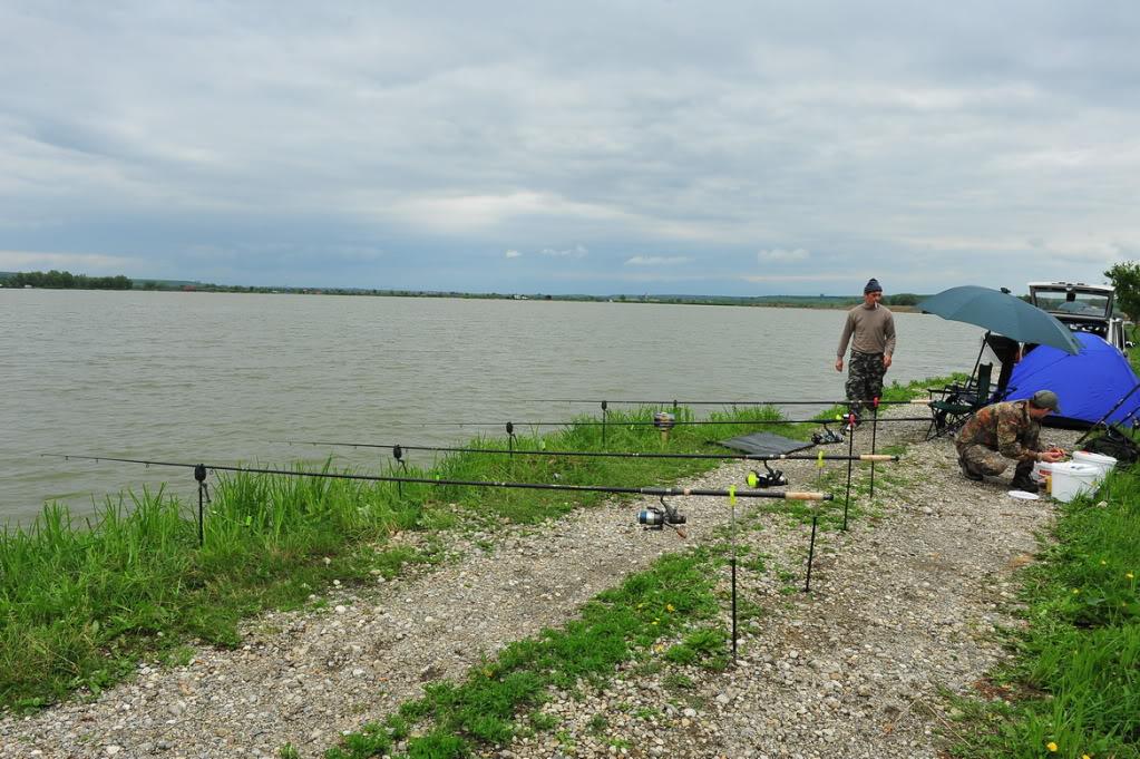 cupa energy - bla.jpg